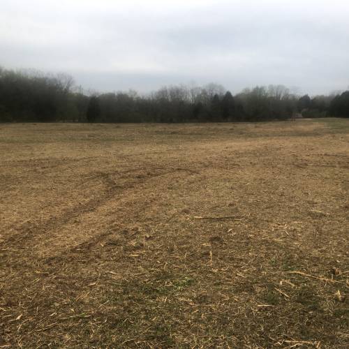 Land Clearing